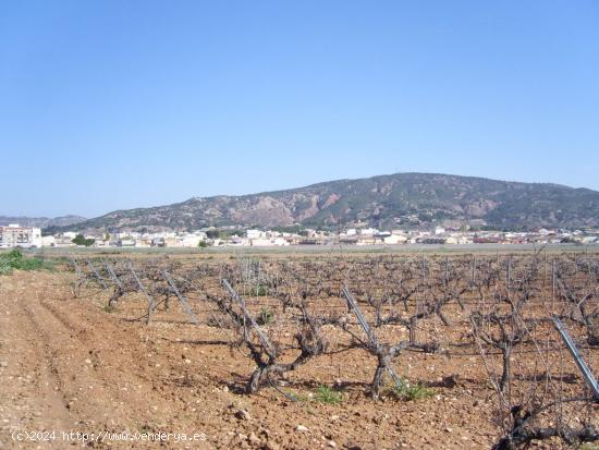 VENTA TERRENO EN PINOSO, ALICANTE  PARCELA INMEJORABLE Y MUY CERCA DE LA POBLACIÓN - ALICANTE