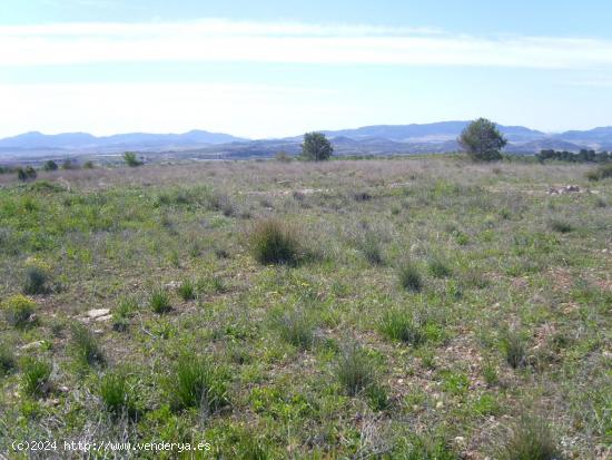 TERRENO EN PINOSO URBANIZABLE DE 150000 METROS - ALICANTE