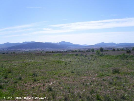 TERRENO EN PINOSO URBANIZABLE DE 150000 METROS - ALICANTE