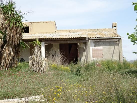 ESPLENDIDA FINCA RUSTICA CON CASA PARA CULTIVAR EN ASPE EN VENTA - ALICANTE