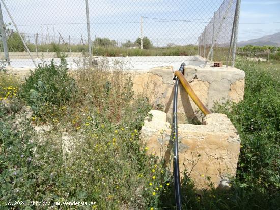 ESPLENDIDA FINCA RUSTICA CON CASA PARA CULTIVAR EN ASPE EN VENTA - ALICANTE