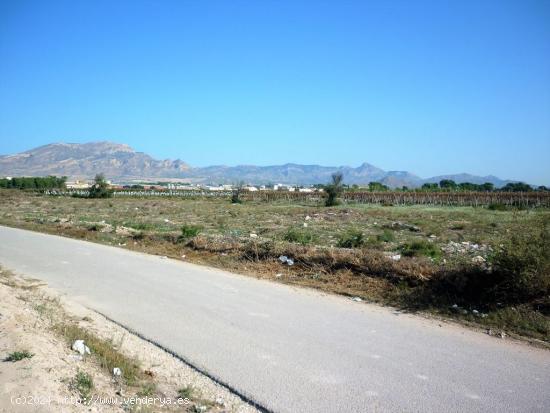 Terreno en el camino de elche, monforte del cid - ALICANTE