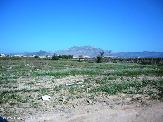 Terreno en el camino de elche, monforte del cid - ALICANTE