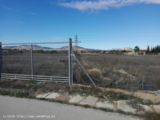  PARCELA RUSTICA EN LA ZONA DE LA HORNA EN ASPE - ALICANTE 