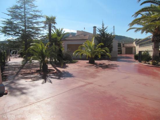 SE VENDE ESTUPENDO CHALET EN MONOVAR (ALICANTE) SPAIN - ALICANTE