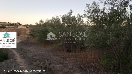 VENTA DE TERRENO RUSTICO EN ASPE - ALICANTE