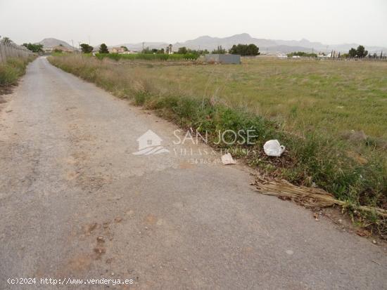  VENTA DE PARCELA EN ASPE EN HORNA BAJA EN MUY BUENA ZONA - ALICANTE 