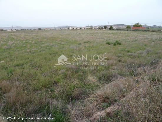 VENTA DE PARCELA EN ASPE EN HORNA BAJA EN MUY BUENA ZONA - ALICANTE