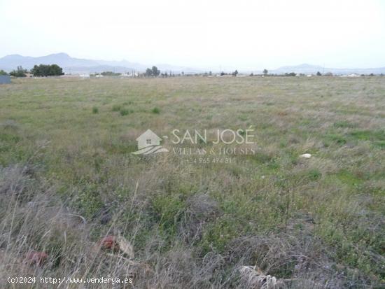 VENTA DE PARCELA EN ASPE EN HORNA BAJA EN MUY BUENA ZONA - ALICANTE