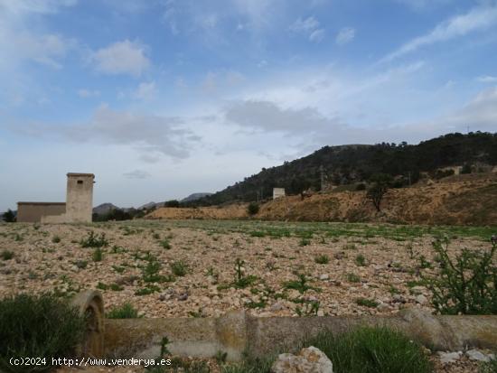 FINCA RUSTICA EN EL TOLOMO-UMBRIA EN HONDON DE LAS NIEVES - ALICANTE