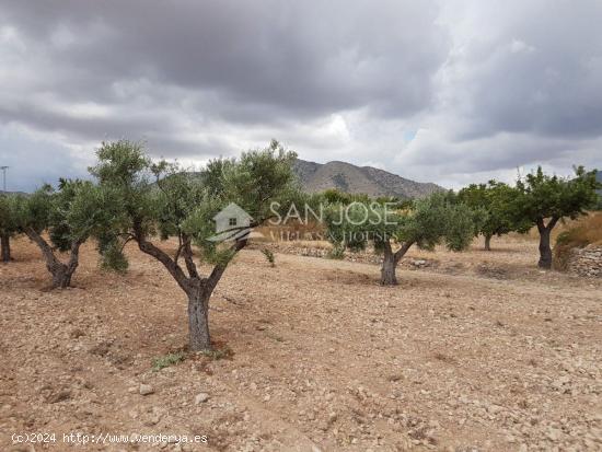 VENTA DE TERRENO RUSTICO EN LA CANALOSA - ALICANTE