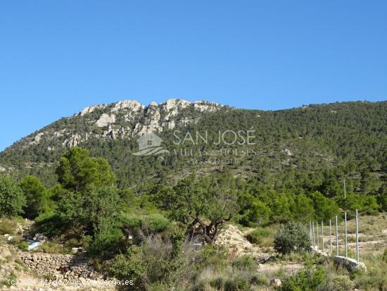 SE VENDE TERRENO RUSTICO AL PIE DE LA MONTAÑA EN HONDON DE LAS NIEVES - ALICANTE