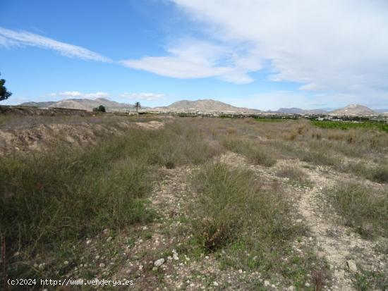  SE VENDE TERRENO EN LA ZONA DE LA HORNA EN ASPE - ALICANTE 