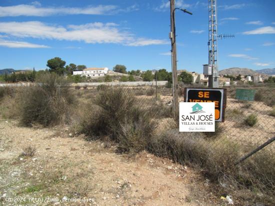  SE VENDE TERRENO  NO URBANO EN MONOVAR (ALICANTE) SPAIN - ALICANTE 