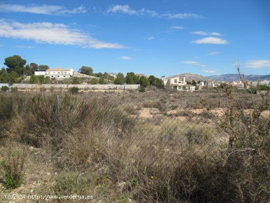 SE VENDE TERRENO  NO URBANO EN MONOVAR (ALICANTE) SPAIN - ALICANTE