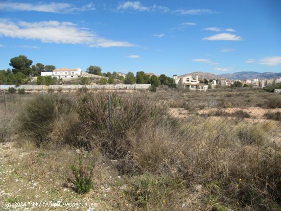 SE VENDE TERRENO  NO URBANO EN MONOVAR (ALICANTE) SPAIN - ALICANTE