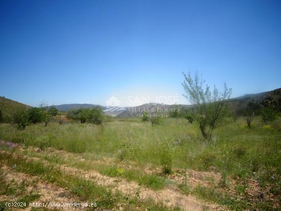 ESTUPENDA PARCELA - ALICANTE