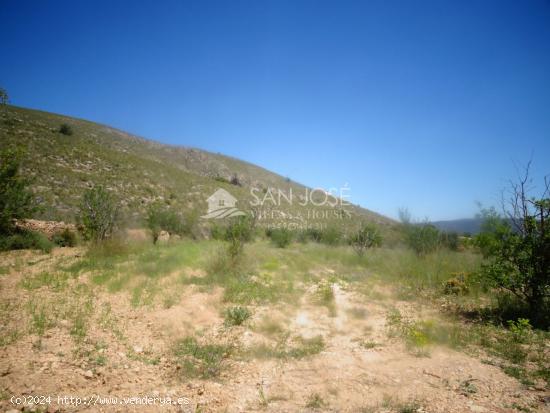 ESTUPENDA PARCELA - ALICANTE