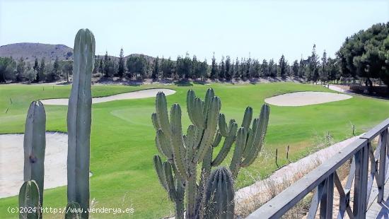 ESPECTACULARES TERRENOS URBANOS EN VENTA EN ALENDA GOLF, MONFORTE, ALICANTE - ALICANTE