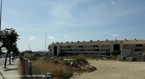 ESPECTACULARES TERRENOS URBANOS EN VENTA EN ALENDA GOLF, MONFORTE, ALICANTE - ALICANTE