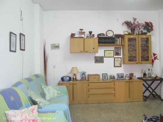 SE VENDE   ALMACEN EN NOVELDA, ALICANTE - ALICANTE