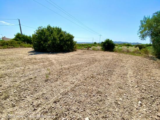 SE VENDE CASA ADOSADA CON TERRENO EN LA ZONA DEL CAMPET ENTRE ASPE,NOVELDA Y MONFORTE A BUEN PRECIO 