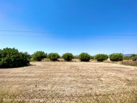 SE VENDE CASA ADOSADA CON TERRENO EN LA ZONA DEL CAMPET ENTRE ASPE,NOVELDA Y MONFORTE A BUEN PRECIO 