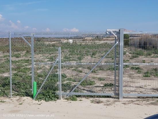 SE VENDE FINCA RUSTICA EN LA CARRETERA DE ASPE A ALICANTE - ALICANTE