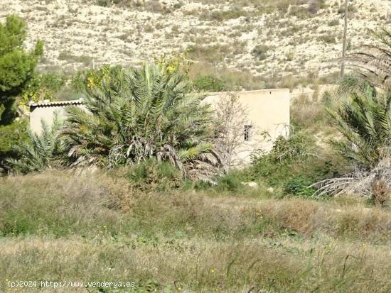 SE VENDE PARCELA DE 20814 M2 CON ALMACÉN DE 45 M2 EN ASPE ZONA DE BORISA - ALICANTE