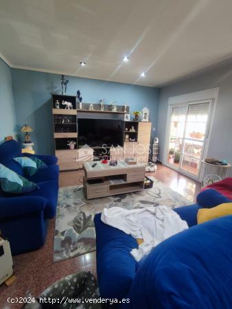 SE VENDE BONITO PISO EN PLENA AVENIDA DE LA CONSTITUCIÓN, NOVELDA (ALICANTE) - ALICANTE