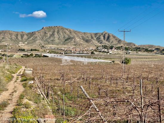 VENTA DE PARCELA DE 11040 M2 EN ASPE EN BUENA ZONA PARA CONSTRUIR TU VIVIENDA SOÑADA - ALICANTE