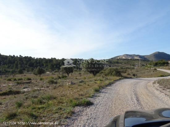 SE VENDE PARCELA RURAL EN LA CANALOSA PARA CONSTRUIR - ALICANTE