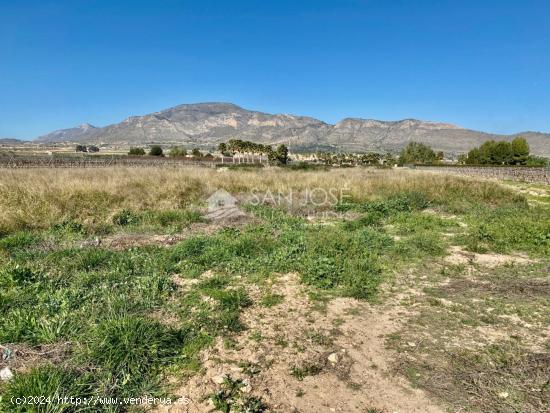  VENTA DE PARCELA RUSTICA EN HONDÓN DE LAS NIEVES-ALICANTE, MUY CERCA DE LA CIUDAD - ALICANTE 