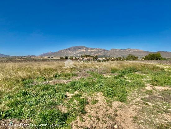 VENTA DE PARCELA RUSTICA EN HONDÓN DE LAS NIEVES-ALICANTE, MUY CERCA DE LA CIUDAD - ALICANTE