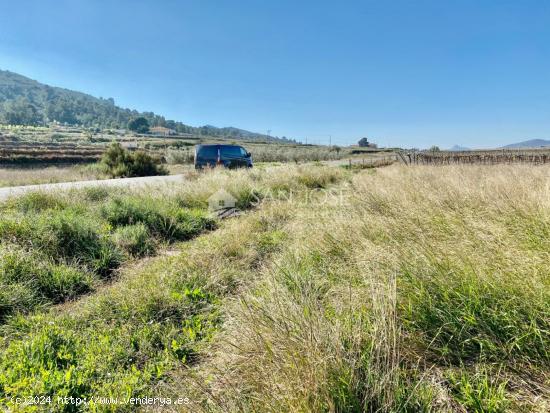 VENTA DE PARCELA RUSTICA EN HONDÓN DE LAS NIEVES-ALICANTE, MUY CERCA DE LA CIUDAD - ALICANTE