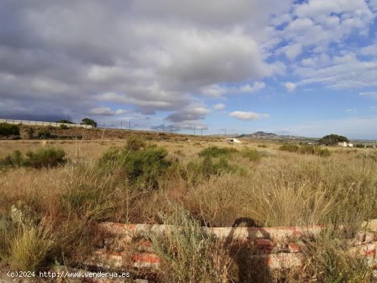 TERRENO RUSTICO URBANIZABLE EN MONFORTE DEL CID, ALICANTE - ALICANTE