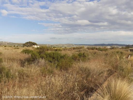 TERRENO RUSTICO URBANIZABLE EN MONFORTE DEL CID, ALICANTE - ALICANTE