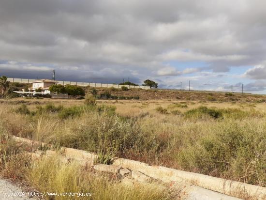 TERRENO RUSTICO URBANIZABLE EN MONFORTE DEL CID, ALICANTE - ALICANTE