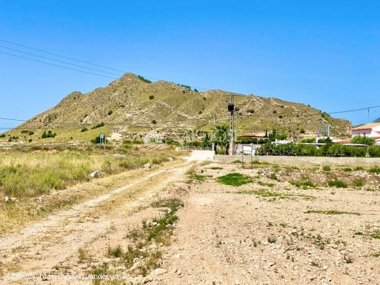  VENTA DE PARCELA DE 7.300 M2 EN ABANILLA EN EL SALADO ALTO - MURCIA 