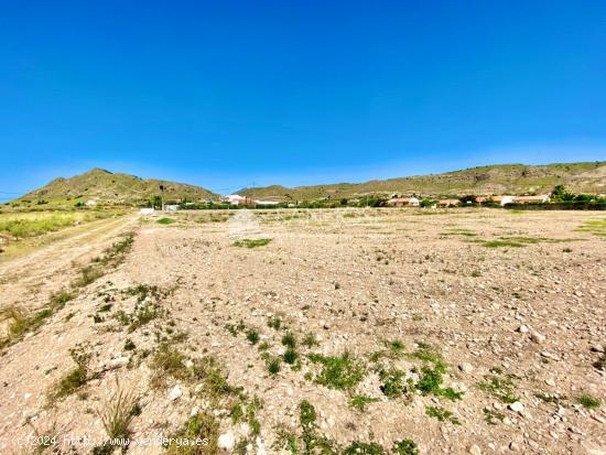 VENTA DE PARCELA DE 7.300 M2 EN ABANILLA EN EL SALADO ALTO - MURCIA