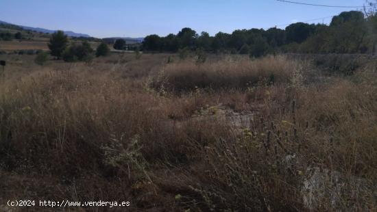  SE VENDE TERRENO EN PLENA NATURALEZA (MONOVAR) SPAIN - ALICANTE 