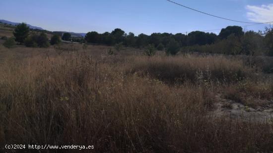 SE VENDE TERRENO EN PLENA NATURALEZA (MONOVAR) SPAIN - ALICANTE