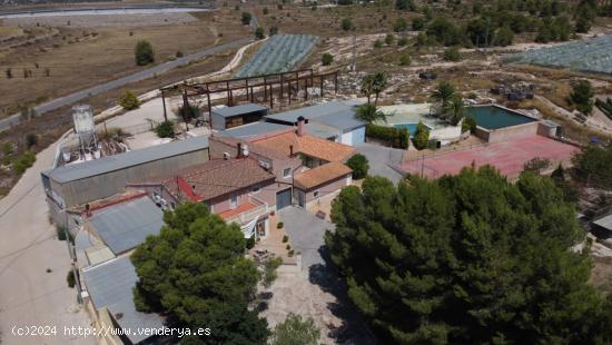 VENTA CASA DE CAMPO EN MONOVAR (ALICANTE) CON VIÑEDOS - ALICANTE