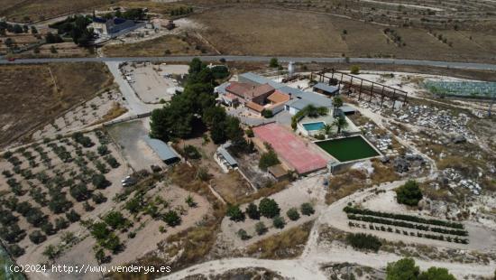 VENTA CASA DE CAMPO EN MONOVAR (ALICANTE) CON VIÑEDOS - ALICANTE