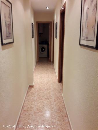 SE VENDE PISO CON DOS PLANTAS Y TERRAZA EN LA ZONA DE LAS HORCAS EN NOVELDA (ALICANTE) - ALICANTE