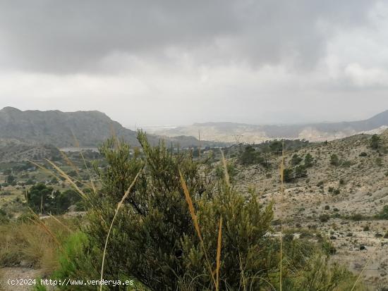  ESPECTACULAR FINCA EN JIJONA - ALICANTE 