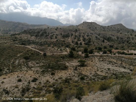 ESPECTACULAR FINCA EN JIJONA - ALICANTE