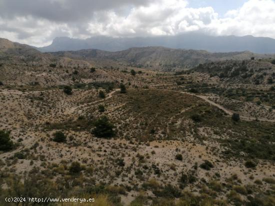 ESPECTACULAR FINCA EN JIJONA - ALICANTE