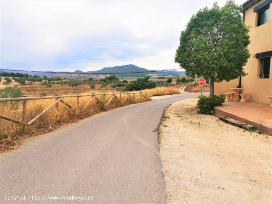 TERRENO URBANIZABLE EN SALINAS ZONA CAMARA BAJA - ALICANTE