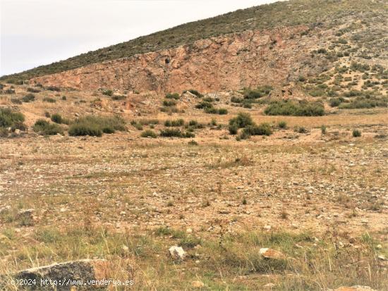 TERRENO EN CAÑADA ZONA CTRA.- CAÑADA BIAR CON CANTERA - ALICANTE